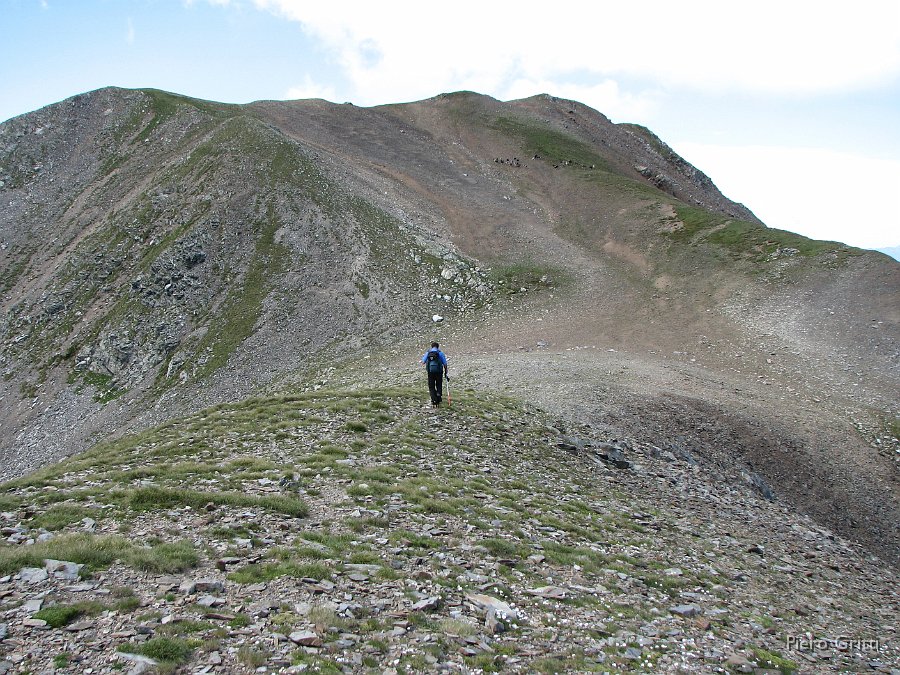 Masoni 086.jpg - Breve discesa prima della salita finale a cima Masoni (2664 m.)